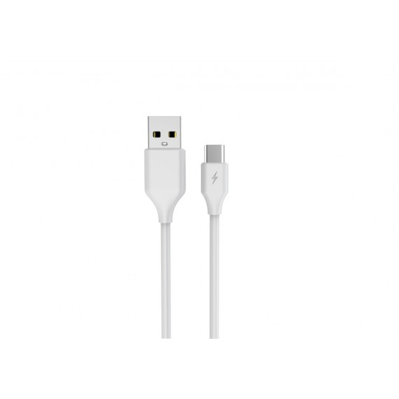 LEAF NETWORK CHARGER 2XUSB 2.1A + CABLE TYPE-C