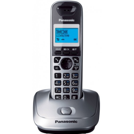 Panasonic KX-TG2511 DECT telefonas Pilka Skambintojo ID