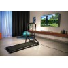 Electric treadmill Kingsmith WALKING PAD WPA1F PRO