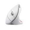 Trust Verto Vertical Ergonomic wireless mouse white (25132)