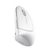 Trust Verto Vertical Ergonomic wireless mouse white (25132)