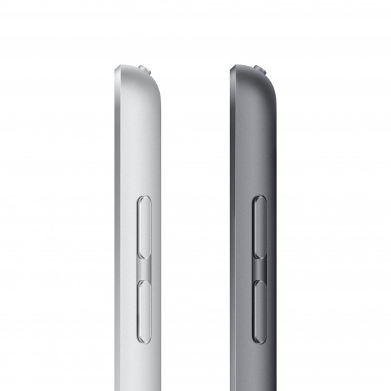 Apple iPad 256 GB 25,9 cm (10.2 ) Wi-Fi 5 (802.11ac) iPadOS 15 Pilka
