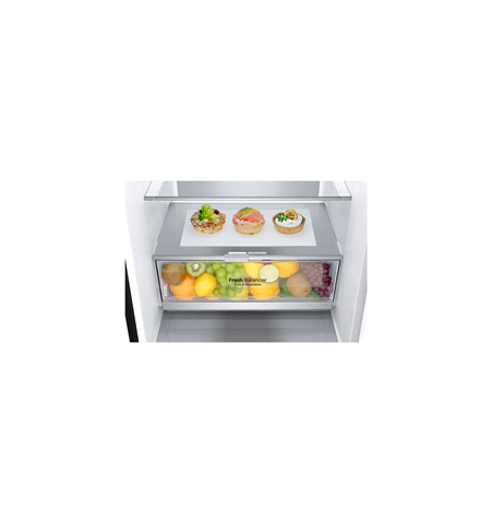 LG Refrigerator GBB72MCUGN Energy efficiency class D, Free standing, Combi, Height 203 cm, No Frost system, Fridge net capacity 