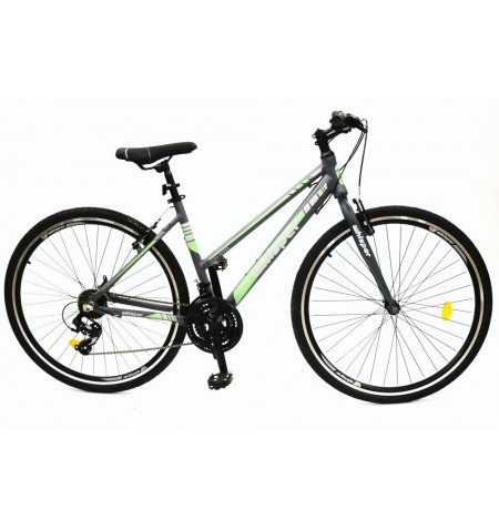 BICYCLE 28  MTB WX400/GREY/GRN 8681933421456 WHISPER