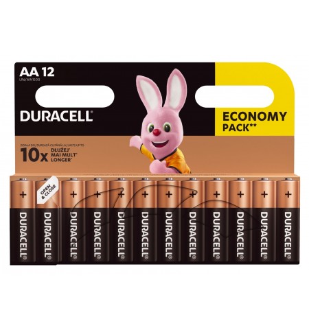 Duracell 5000394203334 buitinė vienkartinė baterija AA Alkaline
