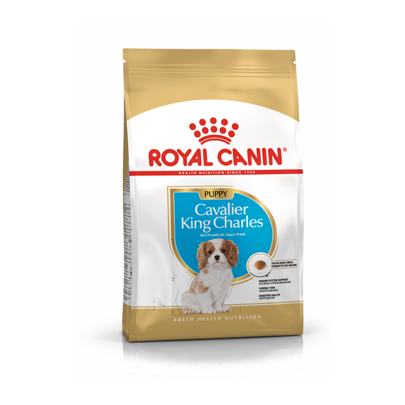 royal canin king charles cavalier puppy