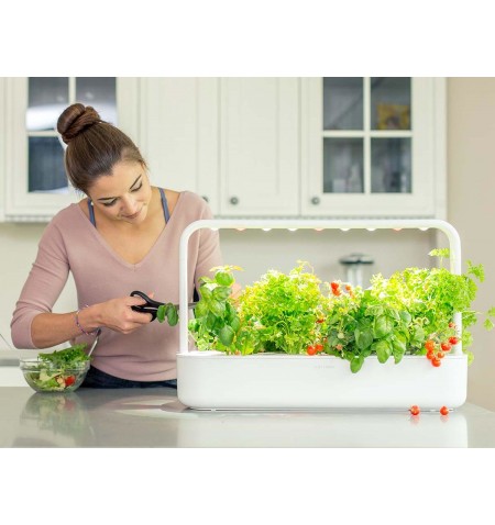 Click & Grow Smart Garden 9 mini sodas namams Balta