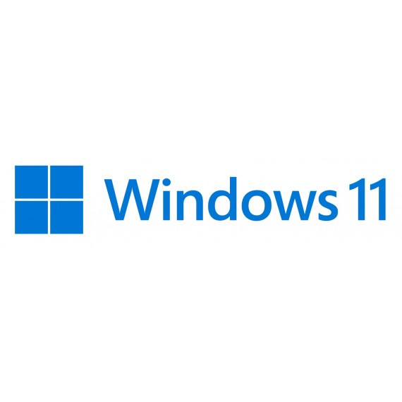 MS Windows 11 Home 64bit Lenkų 1pk DVD OEM