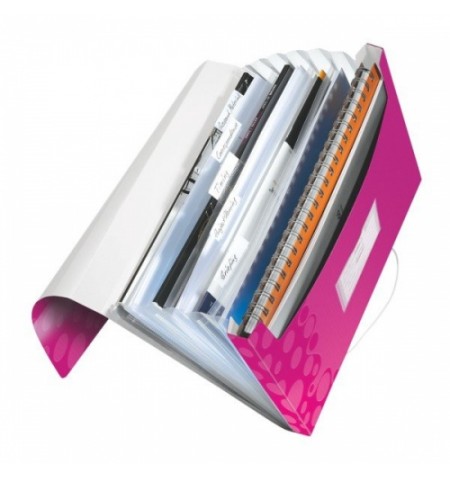 Aplankas-kartoteka su gumele Leitz WOW, A4, plastikinis, rožinis, 6 skyriu  0816-102