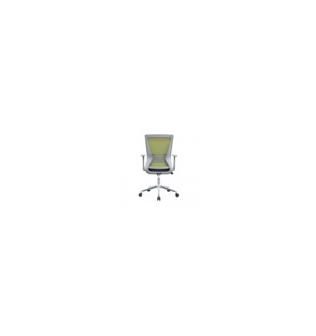 Biuro kėdė LURA su fiksuotais porankiais, pilka/žalia