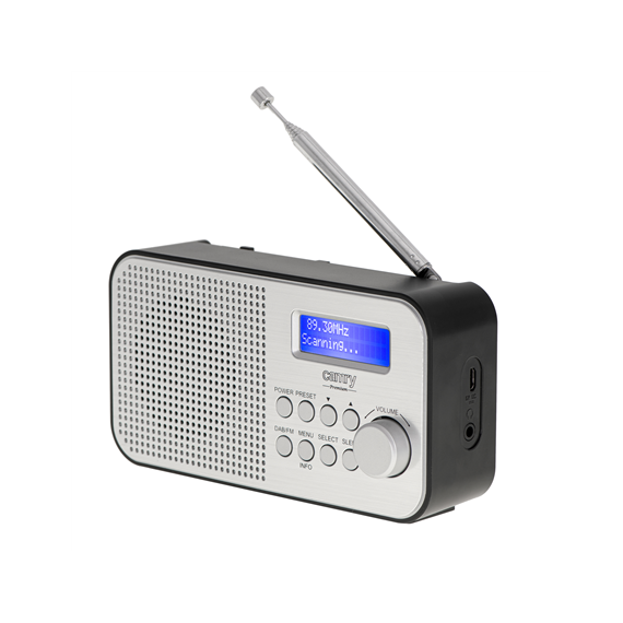 Camry Portable Radio CR 1179 Display LCD, Black/Silver, Alarm function