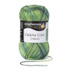 Schachenmayr Catania Color 10x50g Wiese 206