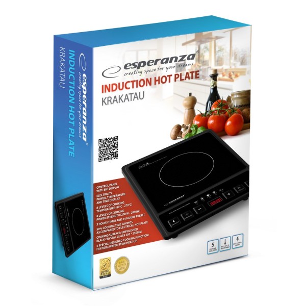 Esperanza EKH011 Black induction cooker
