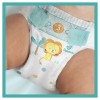 Pampers Active Baby Dry Maxi 4 58 pc(s)