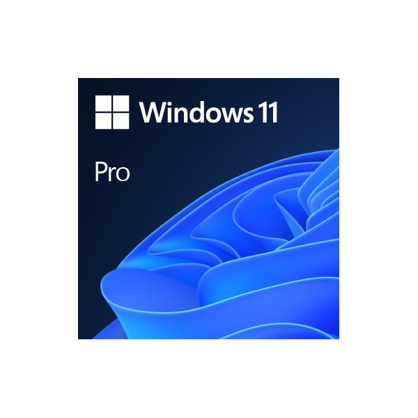 Microsoft Windows 11 Pro OEM