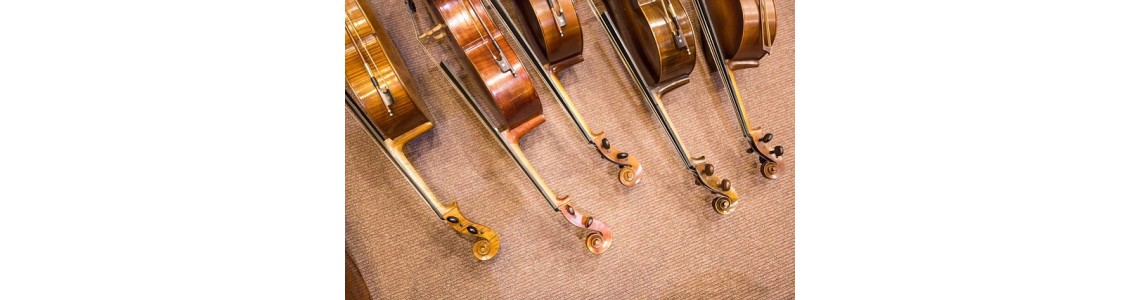 Muzikos instrumentai ir priedai