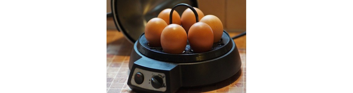 Kiaušinių virimo aparatai